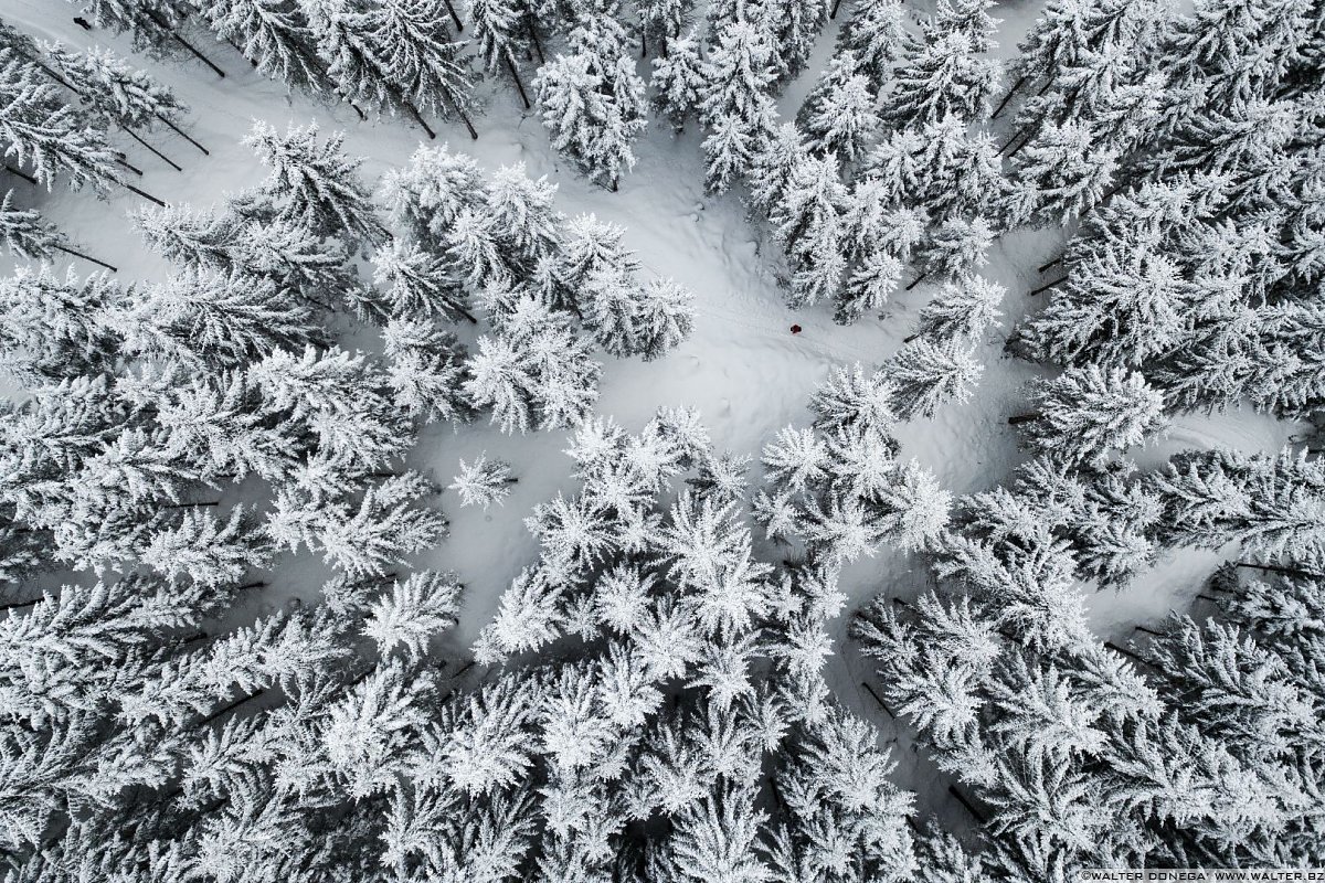 Passeggiata ad Obereggen sul sentiero 11 con la neve