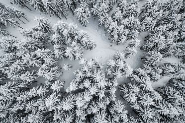 Passeggiata ad Obereggen sul sentiero 11 con la neve