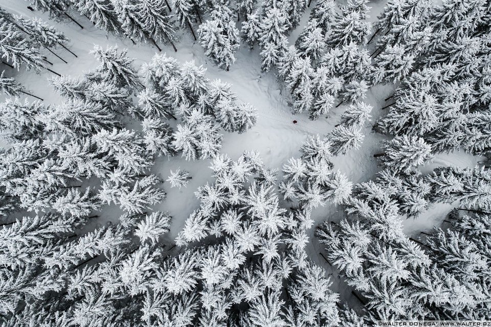 Passeggiata ad Obereggen sul sentiero 11 con la neve