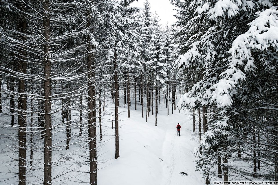 Passeggiata ad Obereggen sul sentiero 11 con la neve