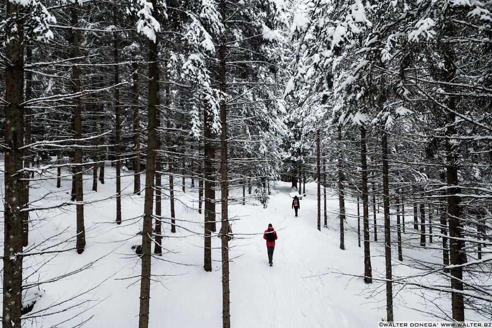 Passeggiata ad Obereggen sul sentiero 11 con la neve