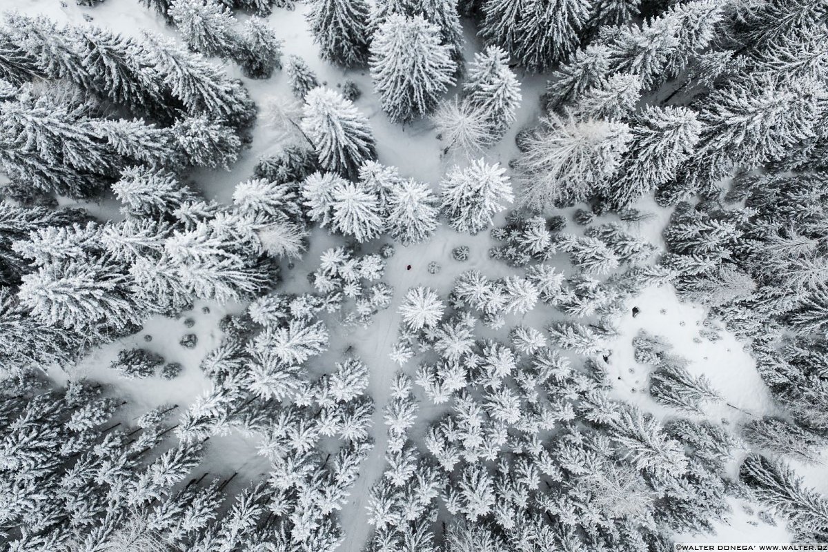 Passeggiata ad Obereggen sul sentiero 11 con la neve