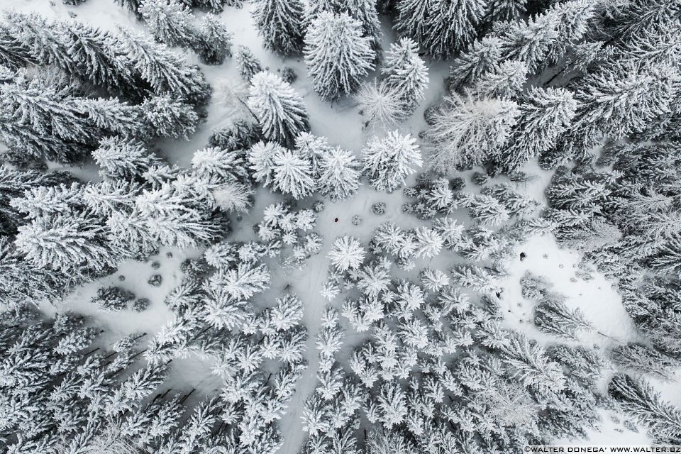 Passeggiata ad Obereggen sul sentiero 11 con la neve