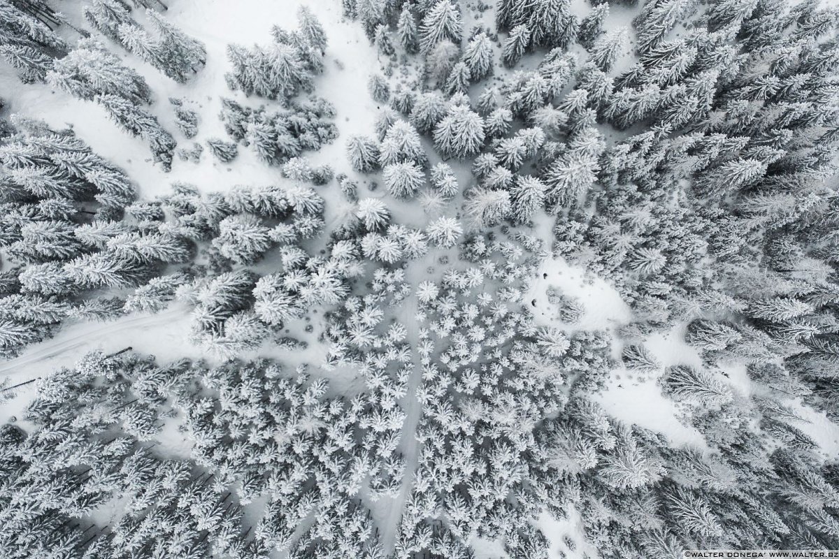 Passeggiata ad Obereggen sul sentiero 11 con la neve