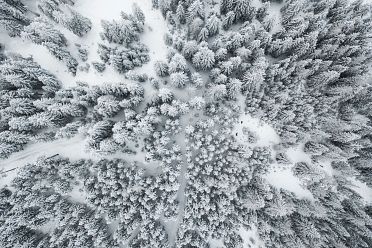 Passeggiata ad Obereggen sul sentiero 11 con la neve