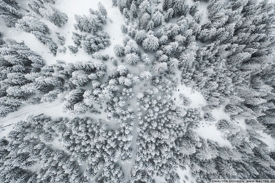 Passeggiata ad Obereggen sul sentiero 11 con la neve