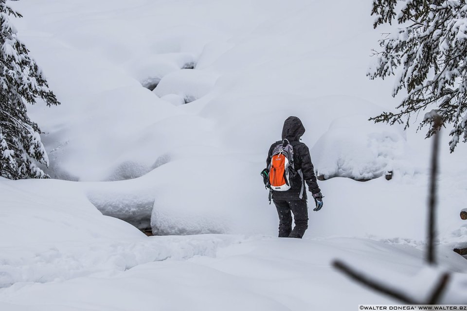 Passeggiata ad Obereggen sul sentiero 11 con la neve