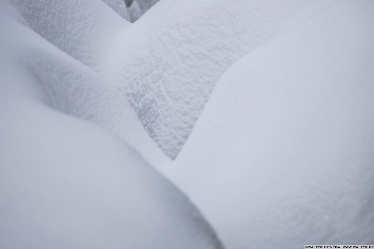 Passeggiata ad Obereggen sul sentiero 11 con la neve