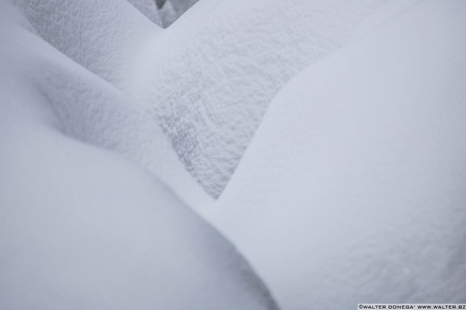 Passeggiata ad Obereggen sul sentiero 11 con la neve