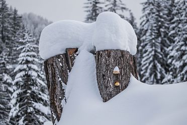 Passeggiata ad Obereggen sul sentiero 11 con la neve