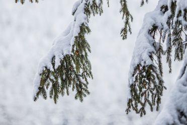 Passeggiata ad Obereggen sul sentiero 11 con la neve