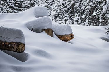 Passeggiata ad Obereggen sul sentiero 11 con la neve