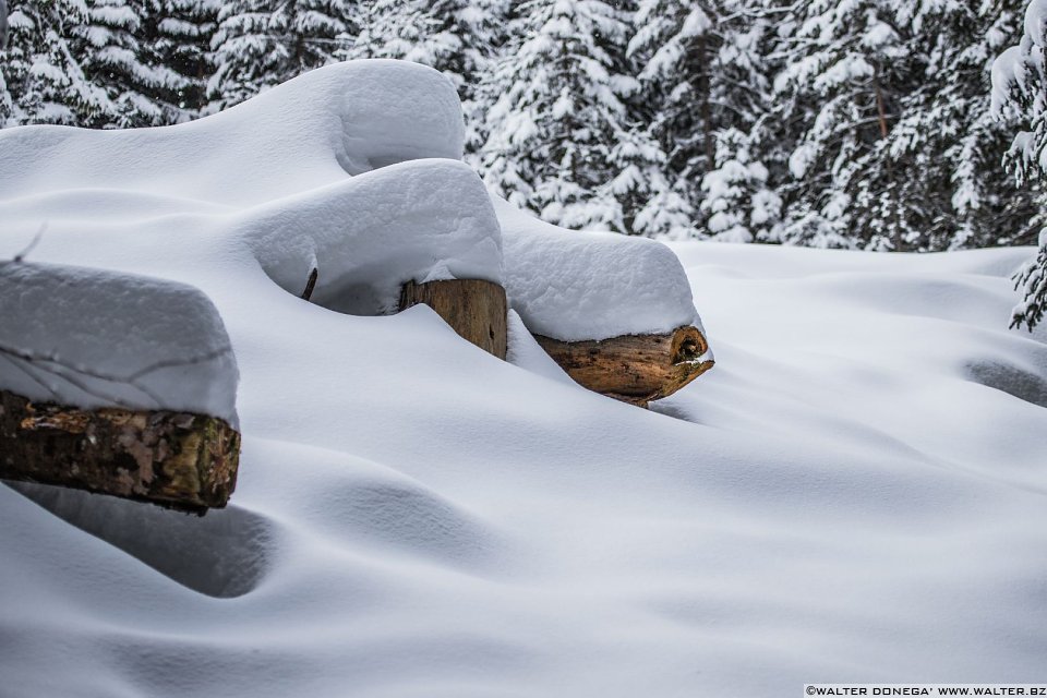 Passeggiata ad Obereggen sul sentiero 11 con la neve