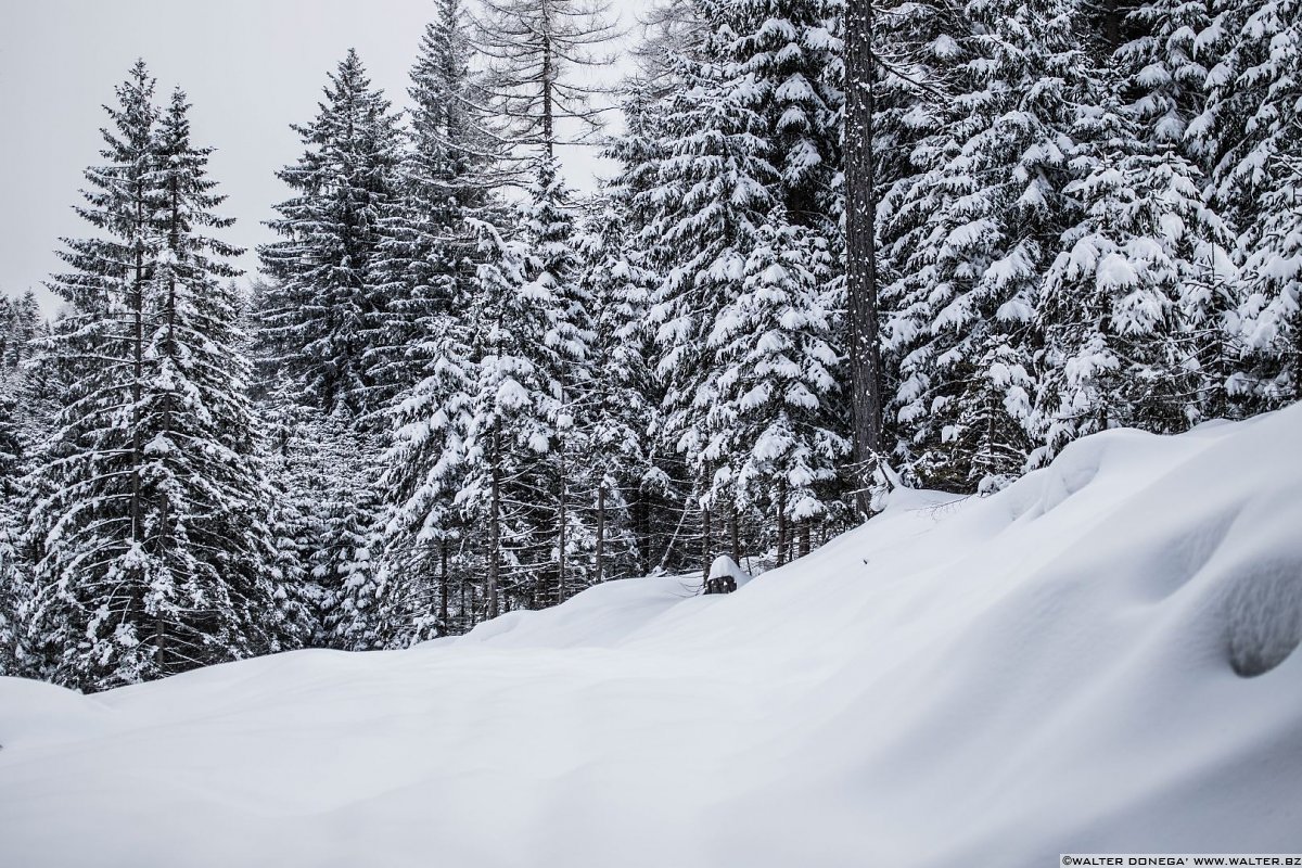 Passeggiata ad Obereggen sul sentiero 11 con la neve