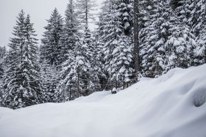 Passeggiata ad Obereggen sul sentiero 11 con la neve