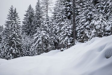Passeggiata ad Obereggen sul sentiero 11 con la neve