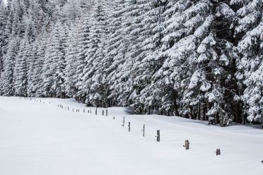 Passeggiata ad Obereggen sul sentiero 11 con la neve