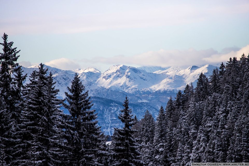 Passeggiata ad Obereggen sul sentiero 11 con la neve