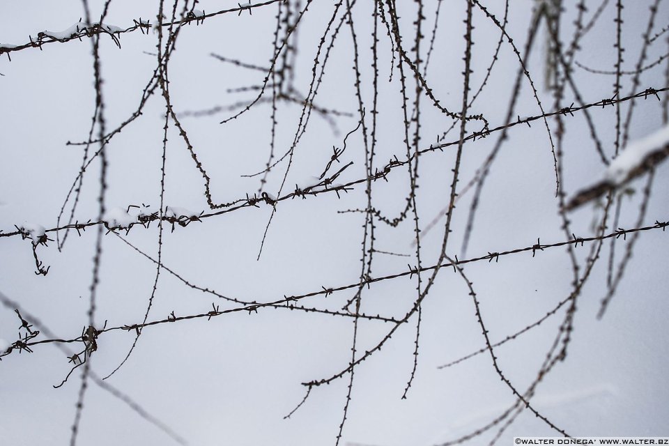 Passeggiata ad Obereggen sul sentiero 11 con la neve