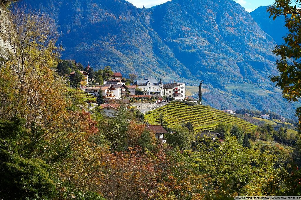 Passeggiata Falkner Dorf Tirol - 14 Passeggiata Falkner Dorf Tirol