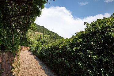 Passeggiata di Sant'Osvaldo