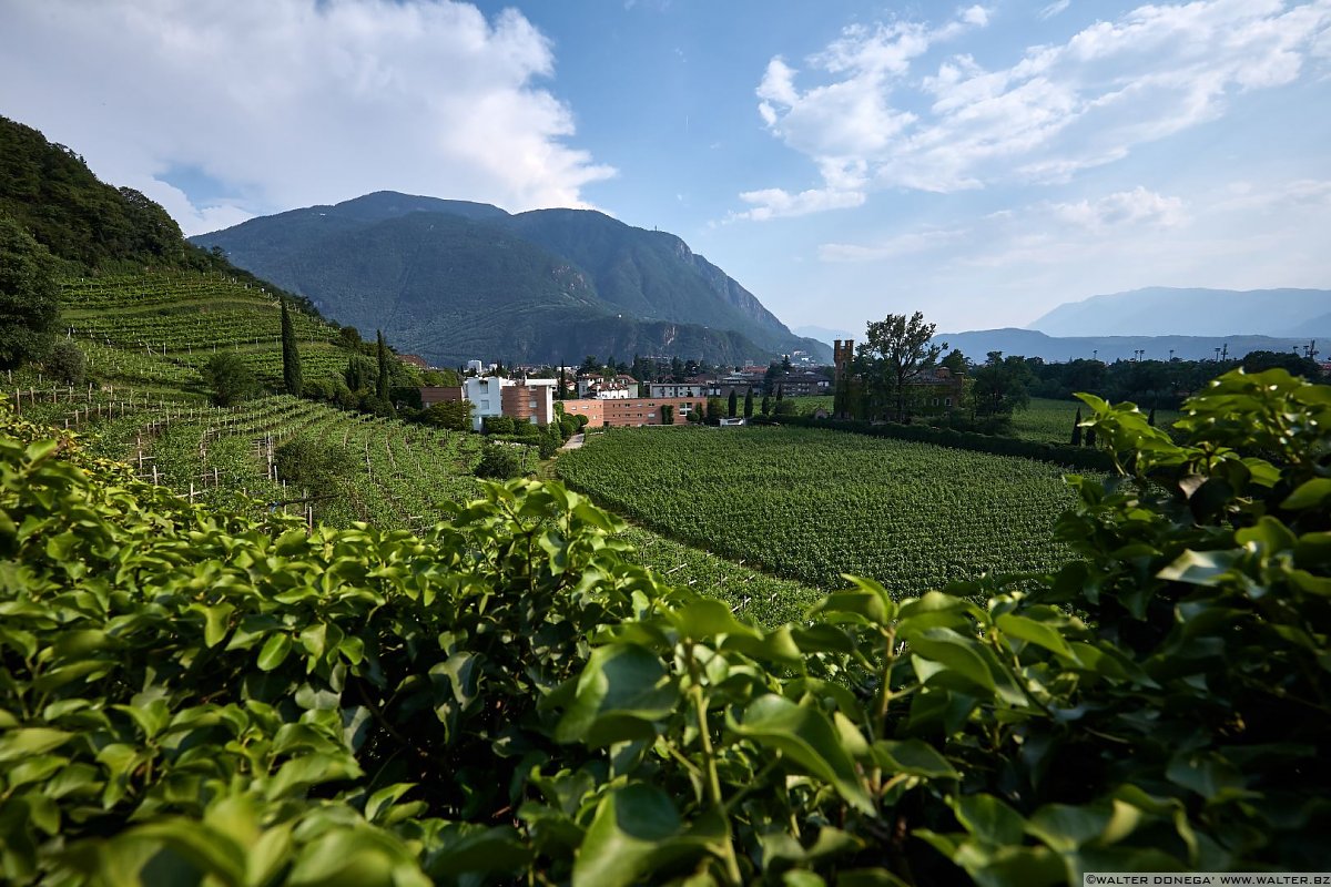  Passeggiata di Sant'Osvaldo