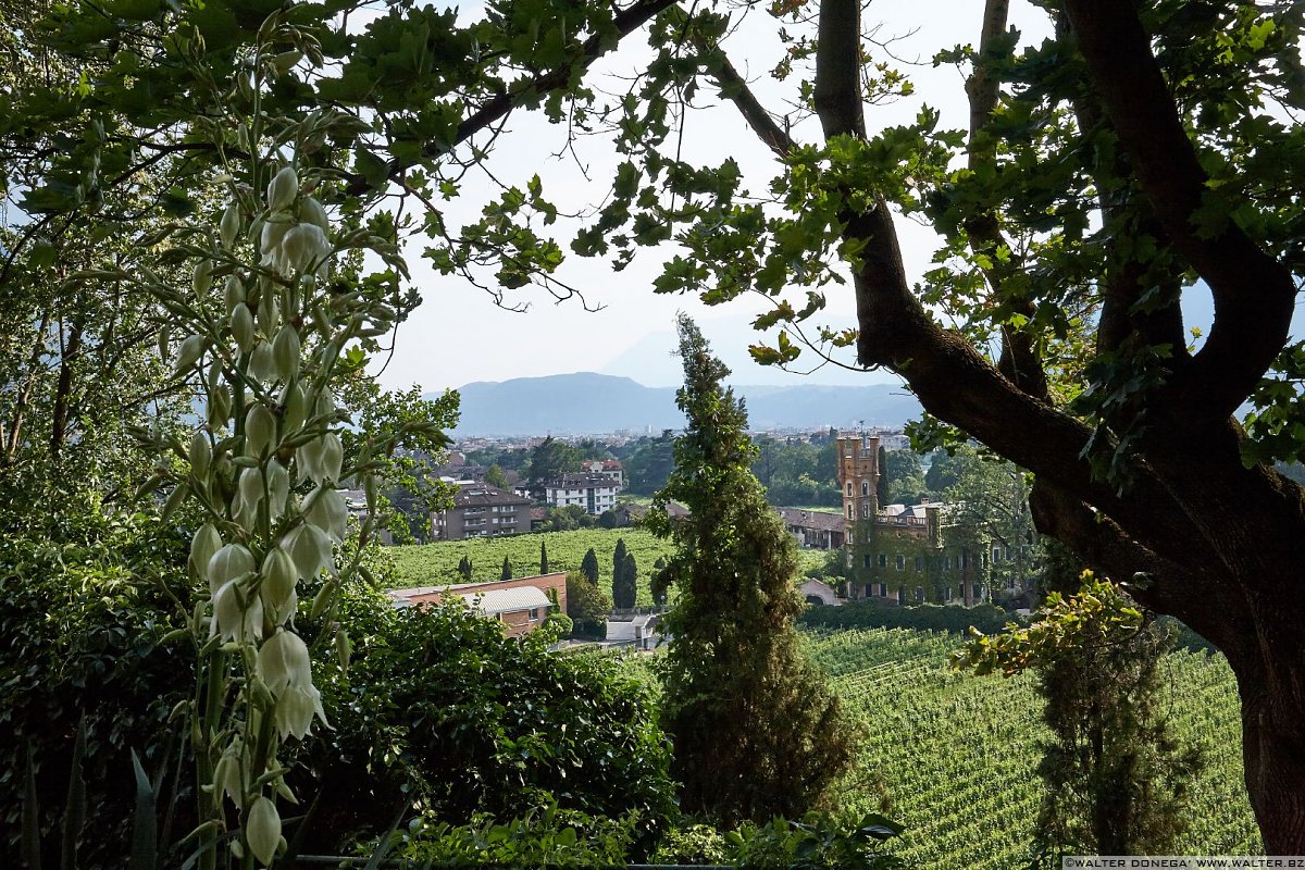  Passeggiata di Sant'Osvaldo