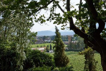 Passeggiata di Sant'Osvaldo