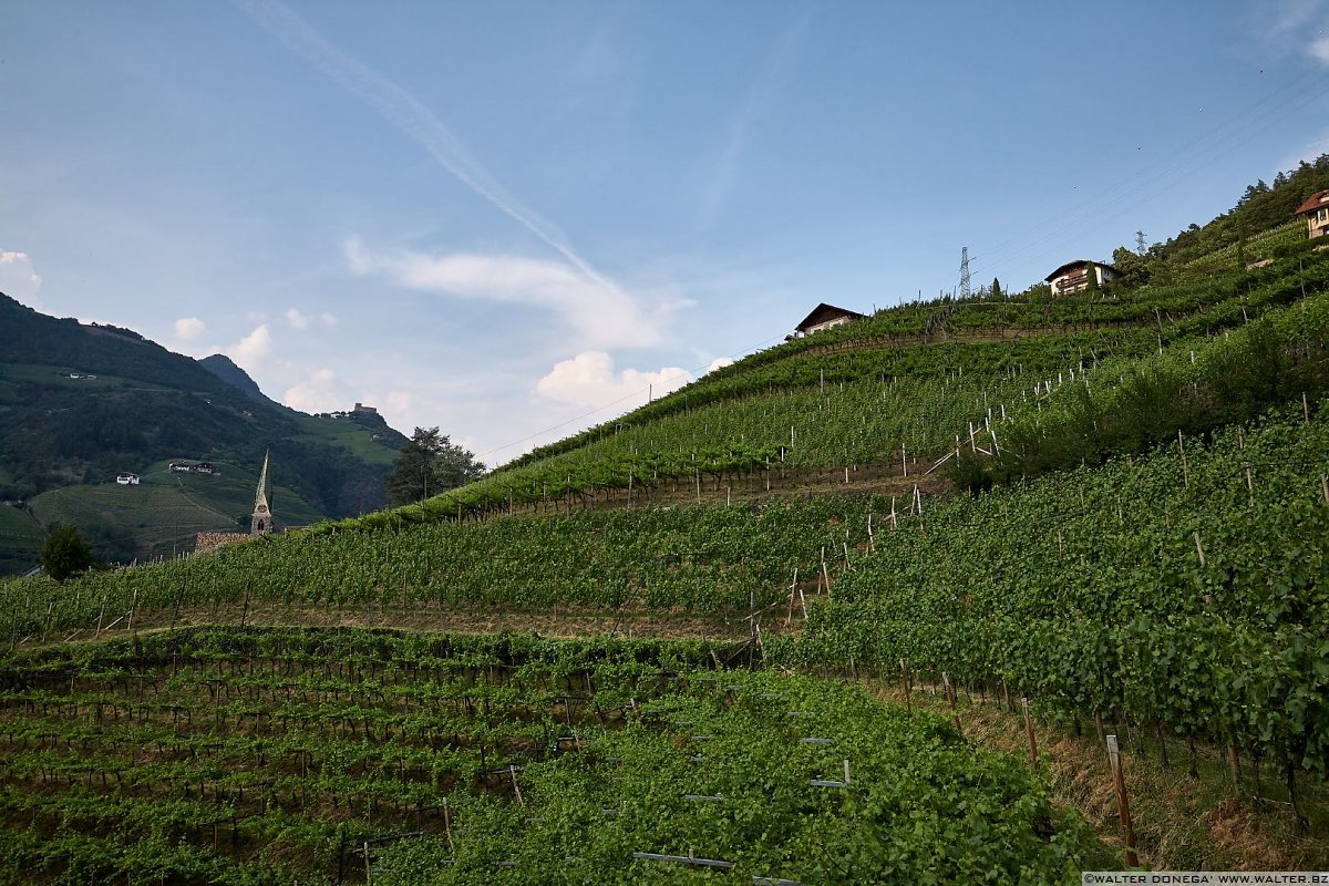  Passeggiata di Sant'Osvaldo