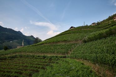 Passeggiata di Sant'Osvaldo