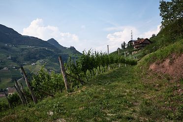 Passeggiata di Sant'Osvaldo
