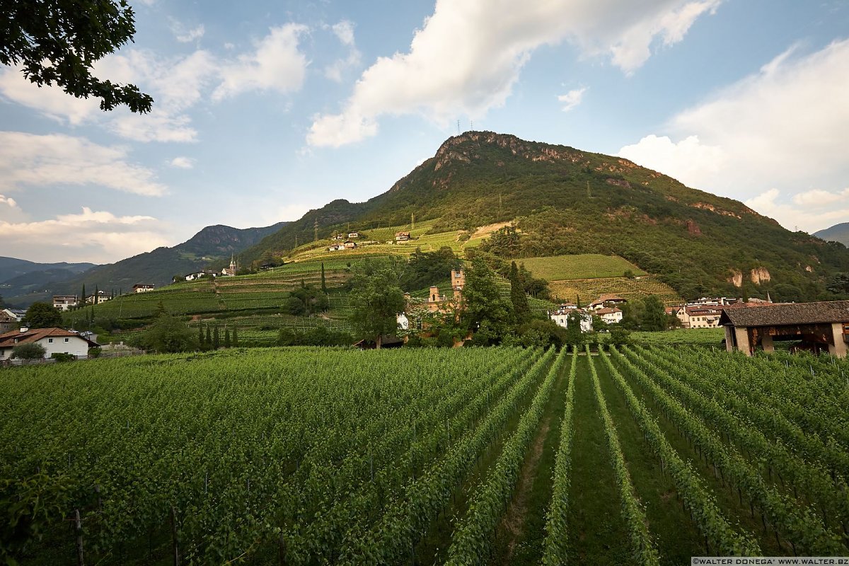  Passeggiata di Sant'Osvaldo