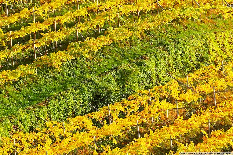 Passeggiata S. Osvaldo Autunno - 26 Passeggiata Sant'Osvaldo
