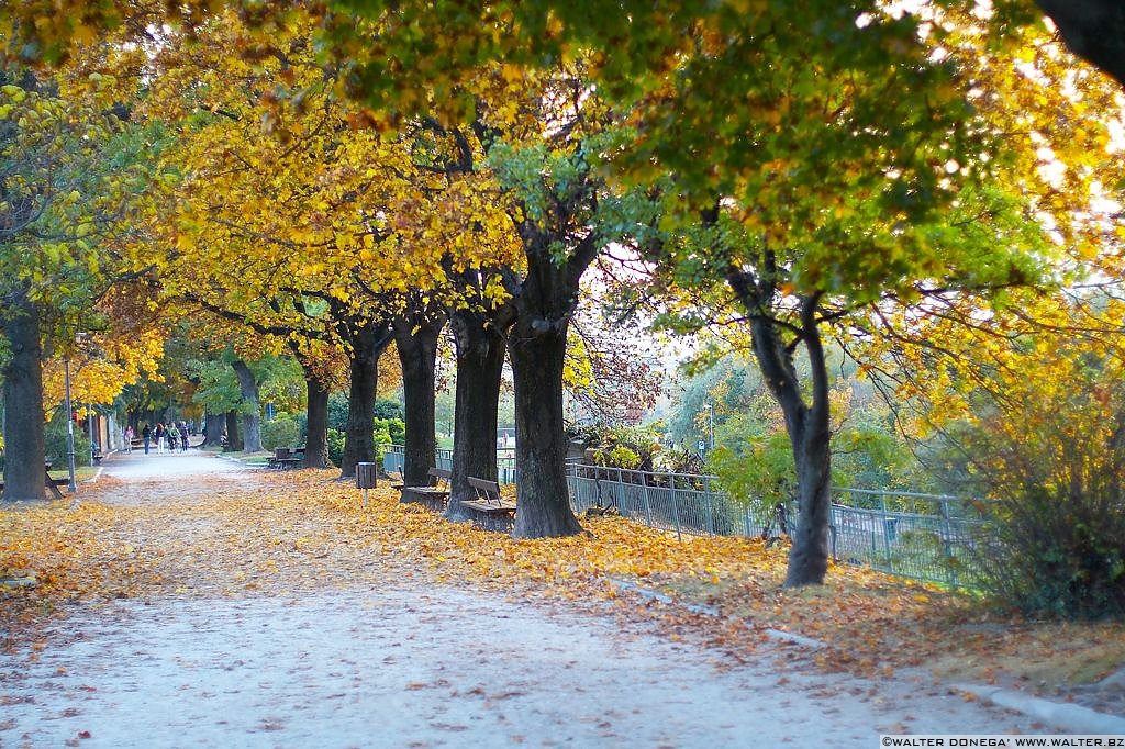 Passeggiata S. Osvaldo Autunno - 36 Passeggiata Sant'Osvaldo