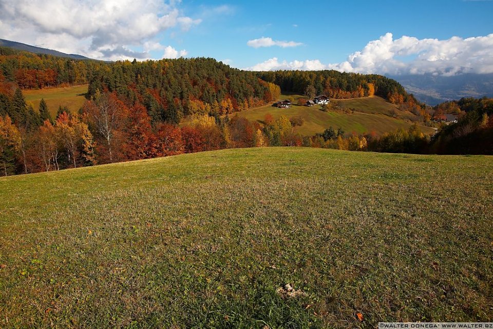 Autunno sul Renon - 01 Autunno sul Renon