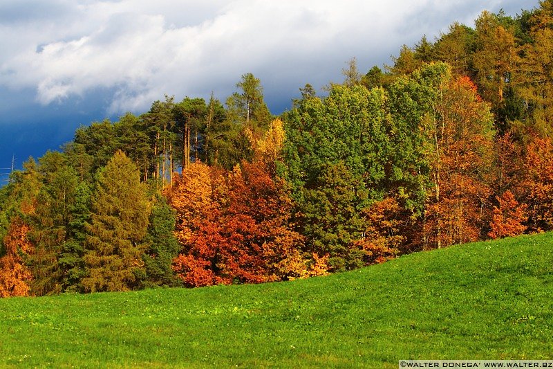 IMG_7558 Colori dell'autunno sul Renon