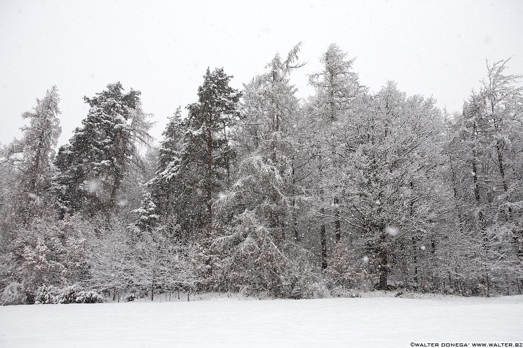 06 Sul Renon sotto la neve