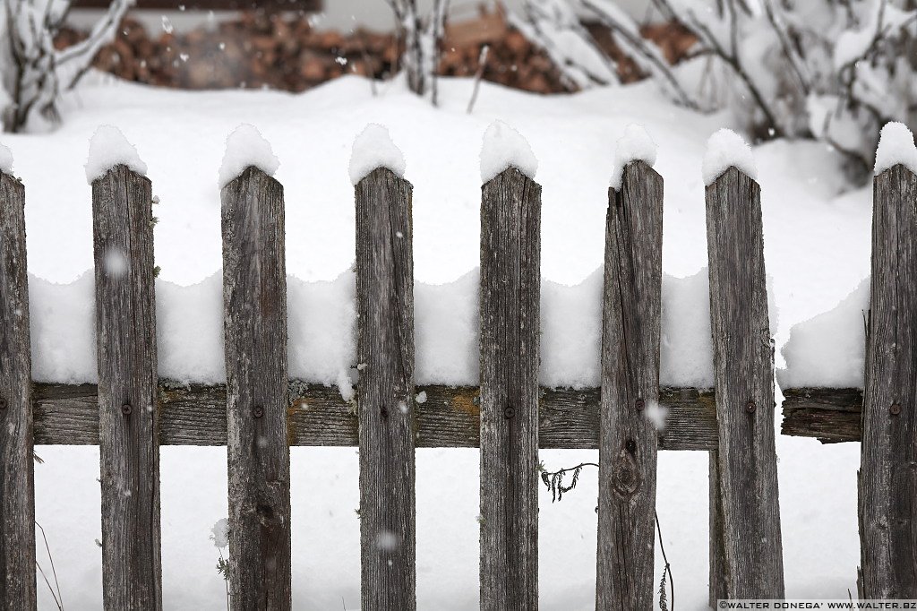 10 Sul Renon sotto la neve