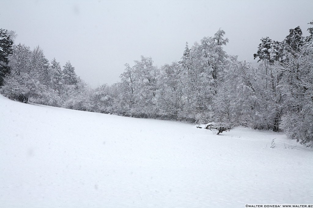 13 Sul Renon sotto la neve