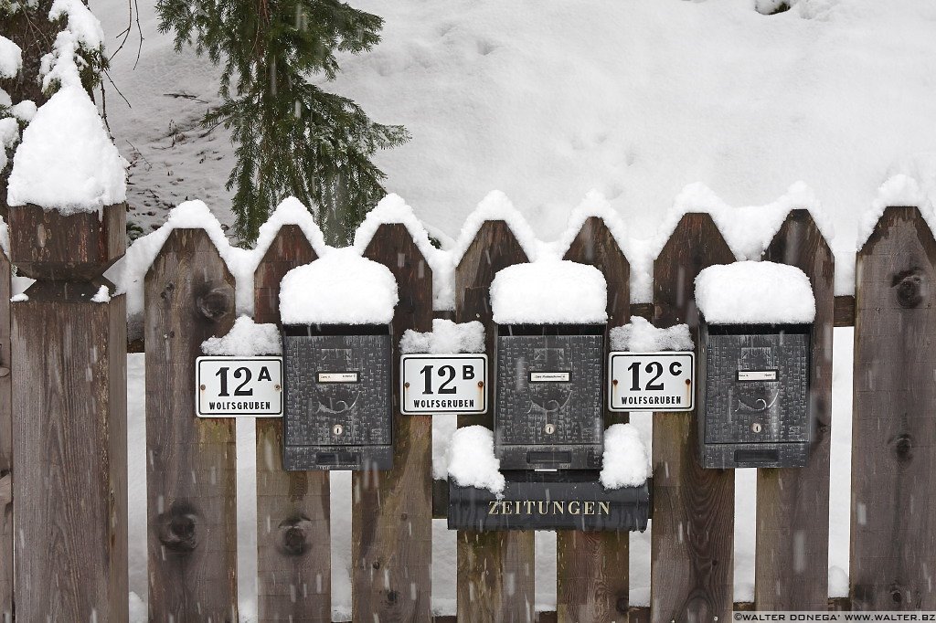 14 Sul Renon sotto la neve