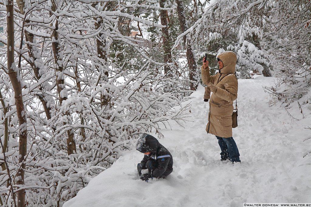 18 Sul Renon sotto la neve