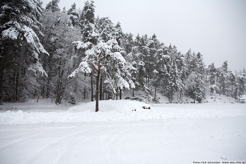 23 Sul Renon sotto la neve