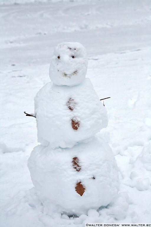 24 Sul Renon sotto la neve