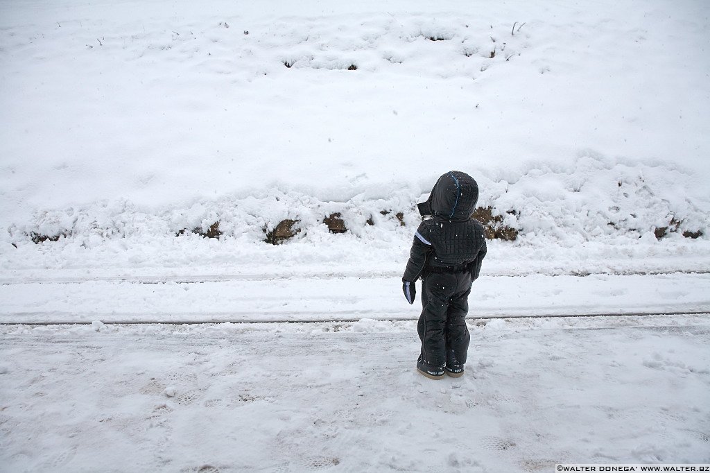 29 Sul Renon sotto la neve