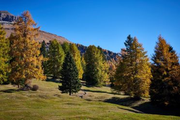 Alto Adige, Trentino, viaggi e varie