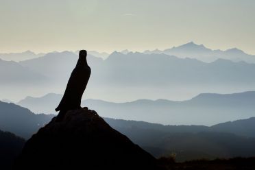 Escursione attorno alla Roda di Vaèl Catinaccio