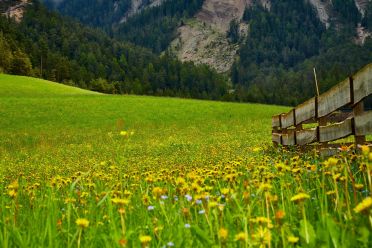 Escursione panoramica a Santa Maddalena Val di Funes