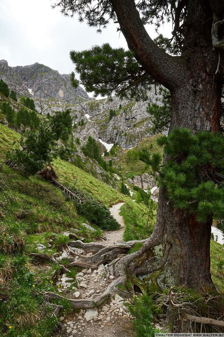 Escursione circolare al Sass de Putia