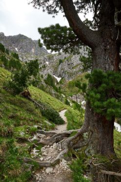 Escursione circolare al Sass de Putia