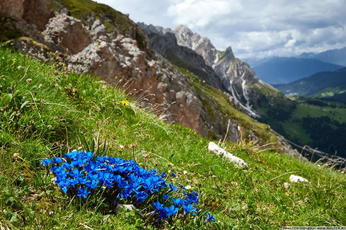 Escursione circolare al Sass de Putia